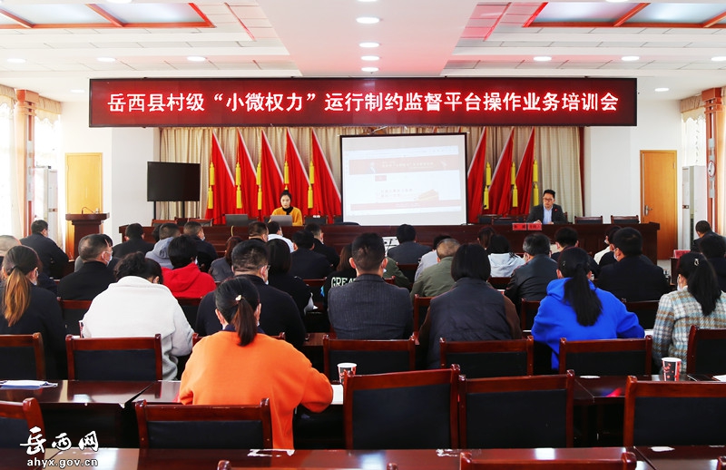 岳西县村级“小微权力”运行制约监督平台操作业务培训会在来榜镇举行